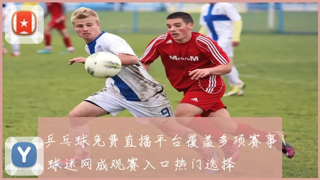乒乓球免费直播平台覆盖多项赛事 球迷网成观赛入口热门选择