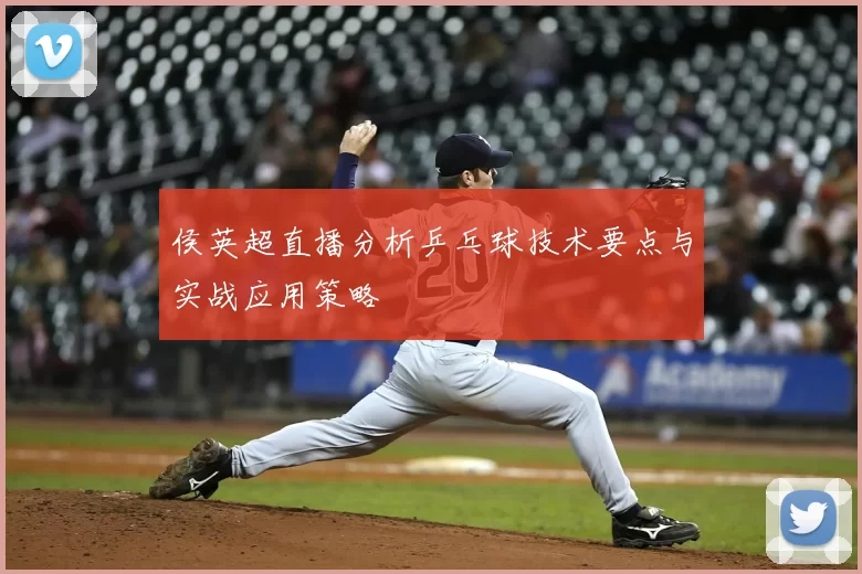 侯英超直播分析乒乓球技术要点与实战应用策略