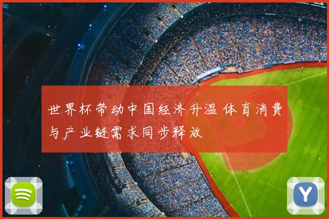 世界杯带动中国经济升温 体育消费与产业链需求同步释放