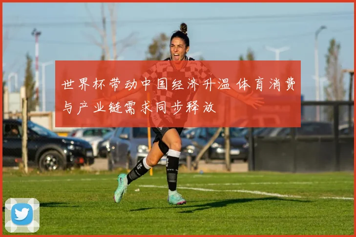世界杯带动中国经济升温 体育消费与产业链需求同步释放