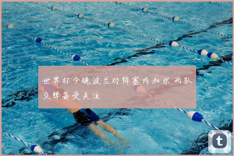 世界杯今晚波兰对阵塞内加尔 两队交锋备受关注