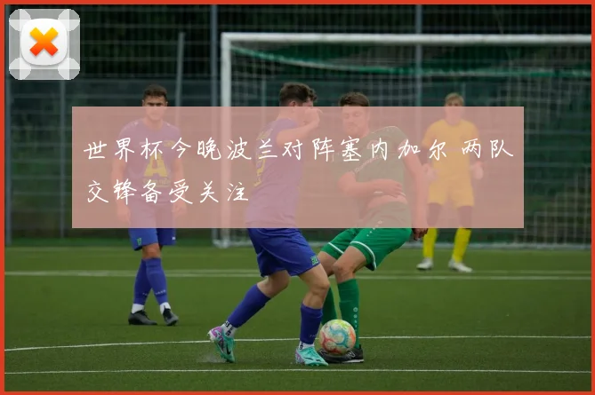 世界杯今晚波兰对阵塞内加尔 两队交锋备受关注