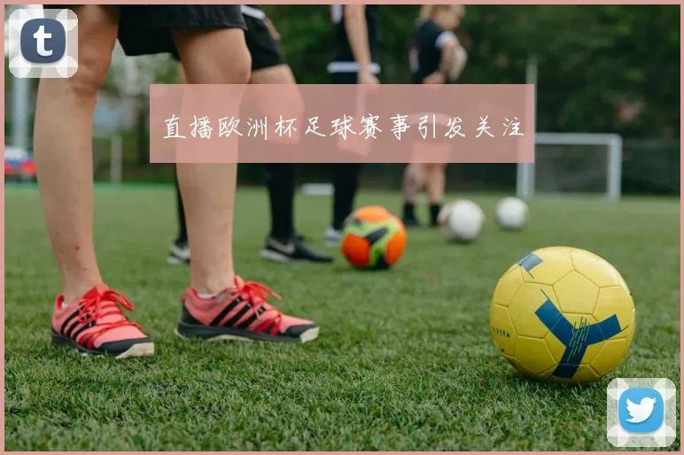 直播欧洲杯足球赛事引发关注