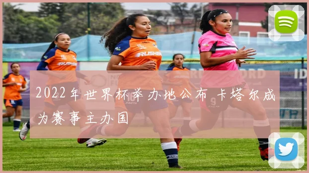 2022年世界杯举办地公布 卡塔尔成为赛事主办国